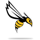 BeesNess Card